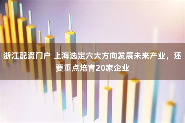 浙江配资门户 上海选定六大方向发展未来产业，还要重点培育20家企业