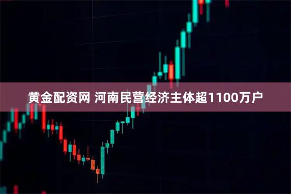 黄金配资网 河南民营经济主体超1100万户